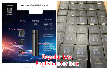 Custom LOGO Smart Water Bottle with LED Temperature Display